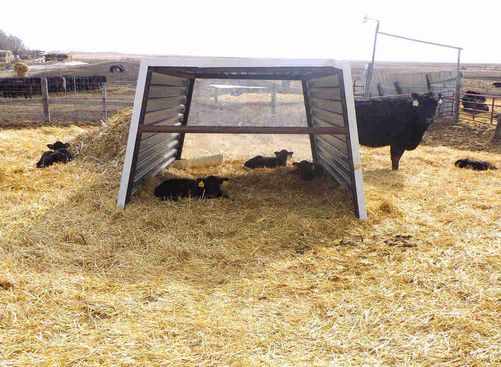 white brightens it up and will stay white for years super steel will